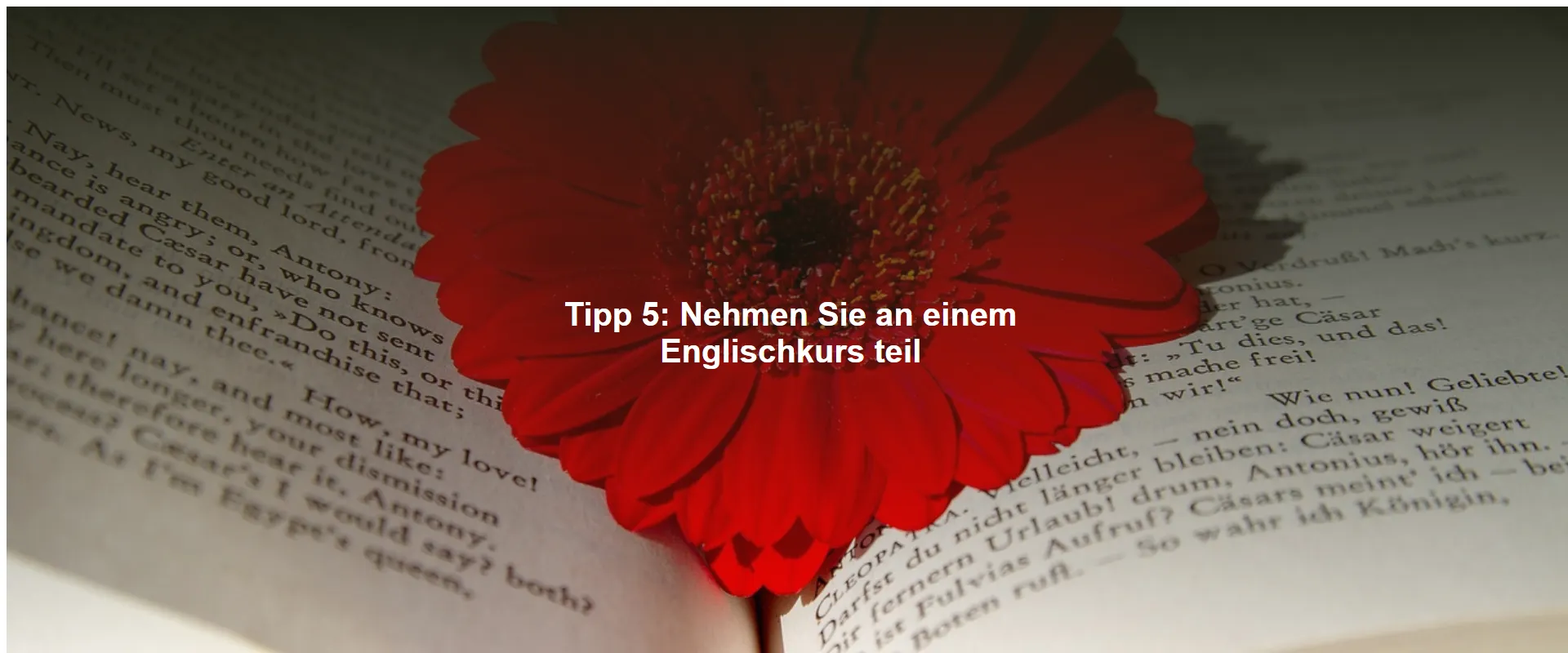 Tipp 5: Nehmen Sie an einem Englischkurs teil