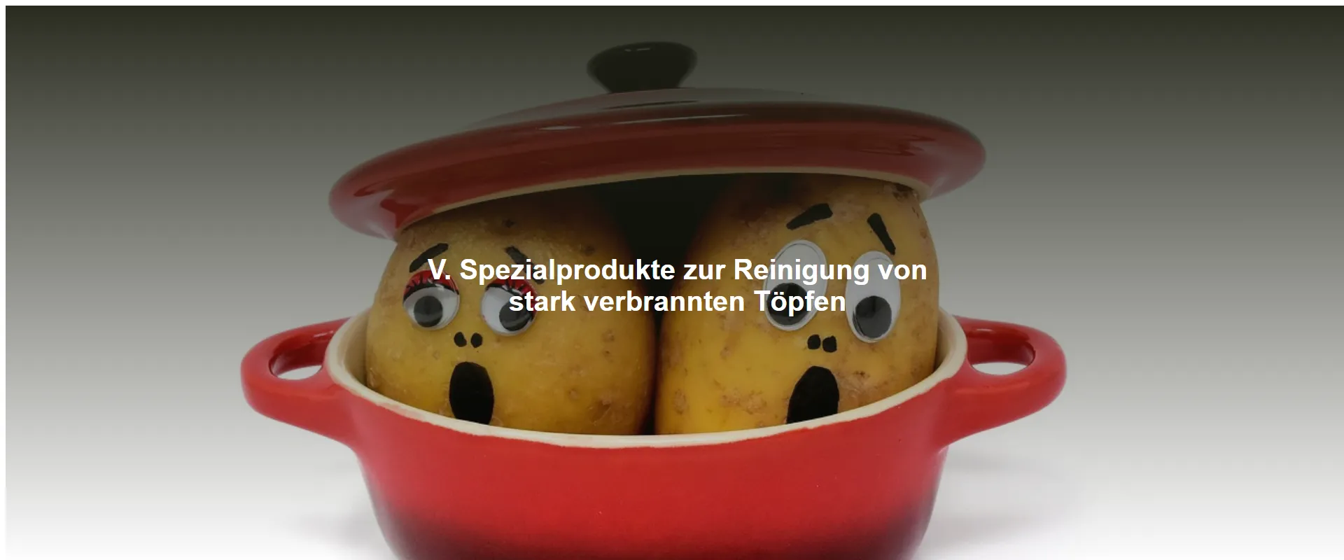 Spezialprodukte zur Reinigung von stark verbrannten Töpfen